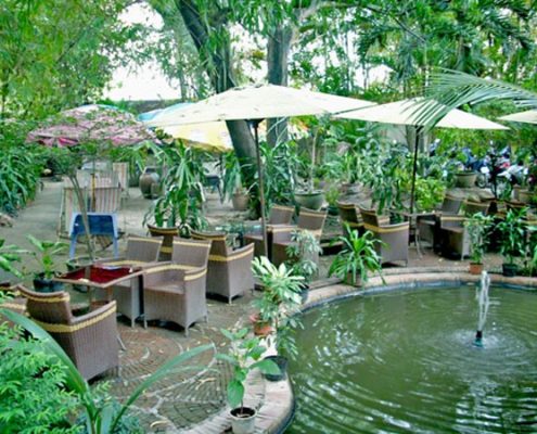 Hòa mình với thiên nhiên-Thiết kế quán cà phê sân vườn